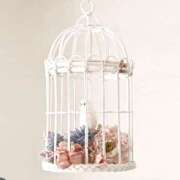 ヒメ日記 2026/01/07 06:24 投稿 翠 東京人妻フォーシーズンズ