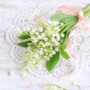 ヒメ日記 2026/01/11 07:34 投稿 翠 東京人妻フォーシーズンズ