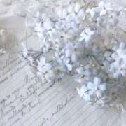 ヒメ日記 2026/01/15 05:54 投稿 翠 東京人妻フォーシーズンズ