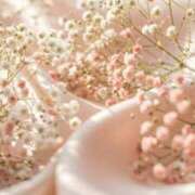 ヒメ日記 2026/01/16 06:14 投稿 翠 東京人妻フォーシーズンズ