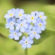 翠 はやく逢いたいなぁ〜🩷 東京人妻フォーシーズンズ