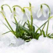 翠 寒いですね〜 東京人妻フォーシーズンズ