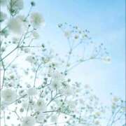 ヒメ日記 2026/01/23 05:34 投稿 翠 東京人妻フォーシーズンズ