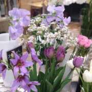 ヒメ日記 2026/01/26 06:14 投稿 翠 東京人妻フォーシーズンズ