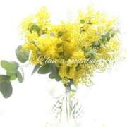 ヒメ日記 2026/01/29 06:34 投稿 翠 東京人妻フォーシーズンズ