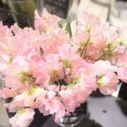 ヒメ日記 2026/01/30 05:54 投稿 翠 東京人妻フォーシーズンズ