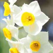 ヒメ日記 2026/02/05 06:34 投稿 翠 東京人妻フォーシーズンズ