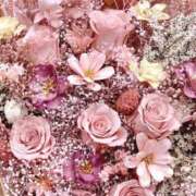 ヒメ日記 2026/02/11 18:14 投稿 翠 東京人妻フォーシーズンズ