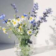 ヒメ日記 2026/02/13 06:34 投稿 翠 東京人妻フォーシーズンズ