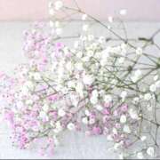 ヒメ日記 2026/02/15 09:34 投稿 翠 東京人妻フォーシーズンズ