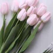 ヒメ日記 2026/02/16 05:44 投稿 翠 東京人妻フォーシーズンズ