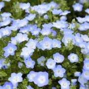 ヒメ日記 2026/02/25 06:14 投稿 翠 東京人妻フォーシーズンズ