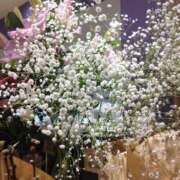 ヒメ日記 2026/03/01 10:14 投稿 翠 東京人妻フォーシーズンズ