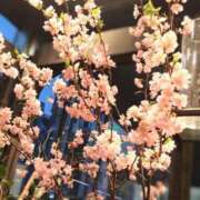 ヒメ日記 2026/03/18 20:34 投稿 翠 東京人妻フォーシーズンズ