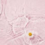 翠 🌸🌸春の訪れ🌸🌸 東京人妻フォーシーズンズ