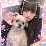 ヒメ日記 2026/01/26 18:53 投稿 ココロ Club NANA 神戸西宮