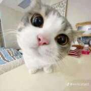 ヒメ日記 2025/10/13 08:06 投稿 ななみ ラブ・アンド・ラブ