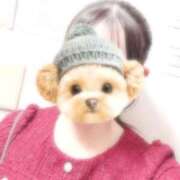 ヒメ日記 2025/09/23 12:02 投稿 もなみ KUROKIN-黒い金魚Ⅱ-