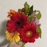 ヒメ日記 2025/10/23 01:45 投稿 波多野みゆ 色気あるワイフ