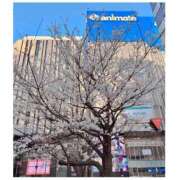 ヒメ日記 2026/03/22 05:18 投稿 さきほ クラブハート