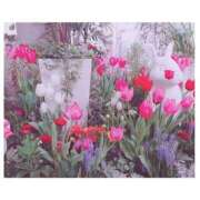 ヒメ日記 2026/04/07 05:18 投稿 さきほ クラブハート