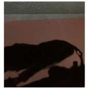 ヒメ日記 2026/04/17 05:18 投稿 さきほ クラブハート