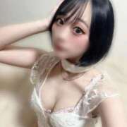 ヒメ日記 2025/09/26 21:29 投稿 ゆきみ マリン土浦本店