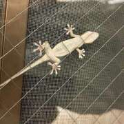 ヒメ日記 2025/11/06 19:12 投稿 大石　るみ ミセス・レヴォアール～再会～