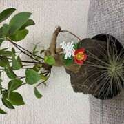 ヒメ日記 2026/01/06 20:33 投稿 大石　るみ ミセス・レヴォアール～再会～