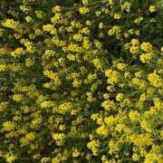 ヒメ日記 2026/03/23 17:56 投稿 大石　るみ ミセス・レヴォアール～再会～