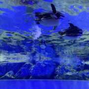 七海 本日もありがとうございました🫶 メンズボディSPA 小山