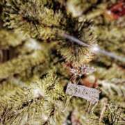 ヒメ日記 2025/12/22 07:40 投稿 いぶき 奥様クラブ