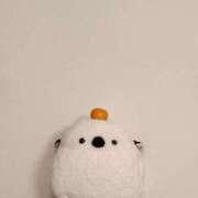 ヒメ日記 2026/01/06 09:00 投稿 いぶき 奥様クラブ