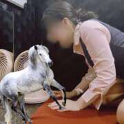 ヒメ日記 2026/01/01 13:27 投稿 まな BAD COMPANY 札幌