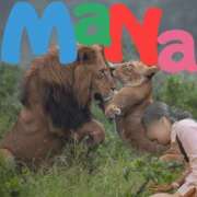 ヒメ日記 2026/01/22 19:28 投稿 まな BAD COMPANY 札幌