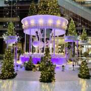 ヒメ日記 2025/11/27 13:16 投稿 あいみ シェリーエンジェル