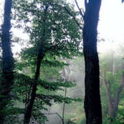 ヒメ日記 2025/09/28 16:35 投稿 三田やよい YESグループ水戸　華女