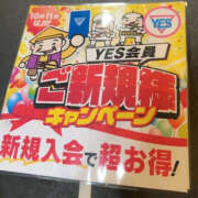 ヒメ日記 2025/11/15 14:05 投稿 三田やよい YESグループ水戸　華女