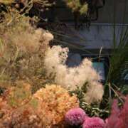 伊川 しのは ご無沙汰しております💗 Club 麗花