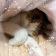 伊川 しのは 自宅を出るまでのひととき🐈💗 Club 麗花