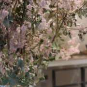 伊川 しのは 2025年、最後のご挨拶✨ Club 麗花