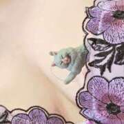 ヒメ日記 2025/11/13 09:48 投稿 浜辺 みのり エレガンス(福島)