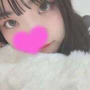 ヒメ日記 2025/09/19 12:25 投稿 猫山みみ 全裸にされた女たちor欲しがり痴漢電車