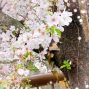 ヒメ日記 2026/04/02 22:55 投稿 真樹穂（まきほ） 人妻城 横浜本店