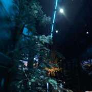 ヒメ日記 2026/04/16 20:19 投稿 真樹穂（まきほ） 人妻城 横浜本店