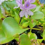 ヒメ日記 2025/09/15 14:06 投稿 もえ 越谷熟女デリヘル マダムエプロン