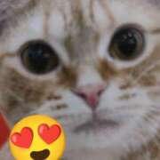 ヒメ日記 2025/09/25 18:44 投稿 もえ 越谷熟女デリヘル マダムエプロン