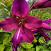 ヒメ日記 2025/10/06 12:51 投稿 もえ 越谷熟女デリヘル マダムエプロン