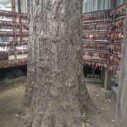 ヒメ日記 2025/10/07 12:58 投稿 もえ 越谷熟女デリヘル マダムエプロン