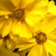 ヒメ日記 2025/10/10 13:51 投稿 もえ 越谷熟女デリヘル マダムエプロン